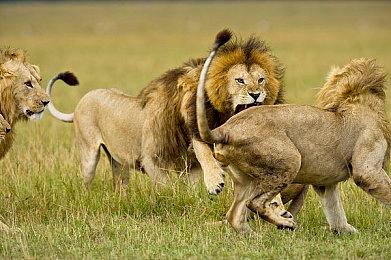 《猎天使魔女3》已售出104万份 贝姐魅力大